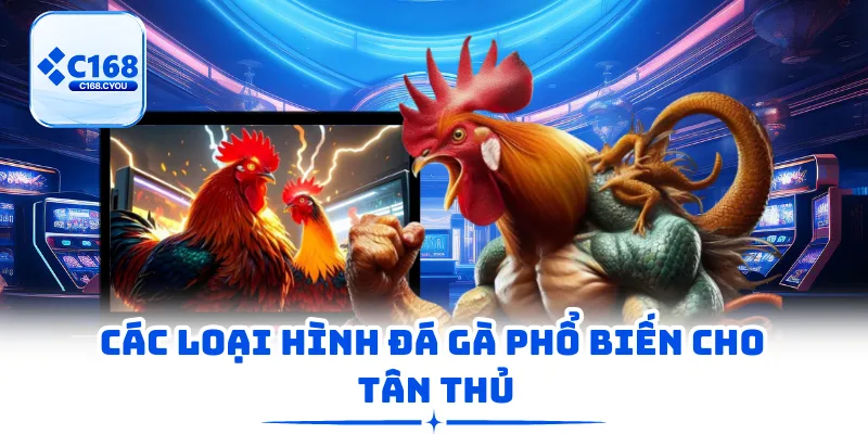 Các loại hình đá gà phổ biến cho tân thủ