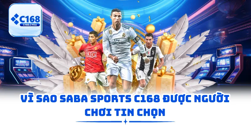 Vì sao Saba Sports C168 được người chơi tin chọn